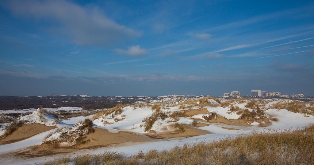 Sneeuw in het westhoekreservaat