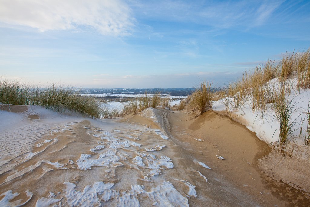 Sneeuw in het westhoekreservaat