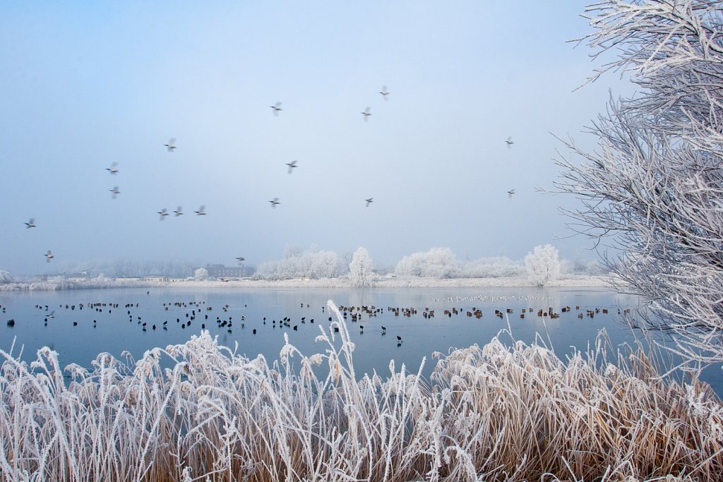 Winterlandschap