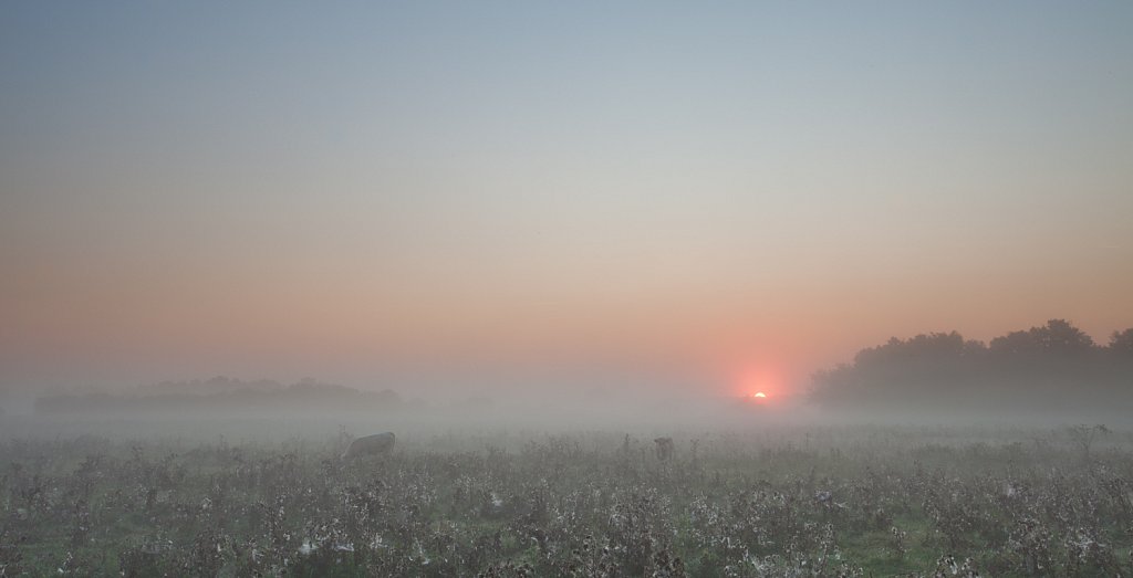 Zonsopgang bij mistig weer