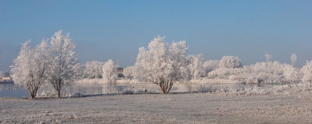 Winterlandschap