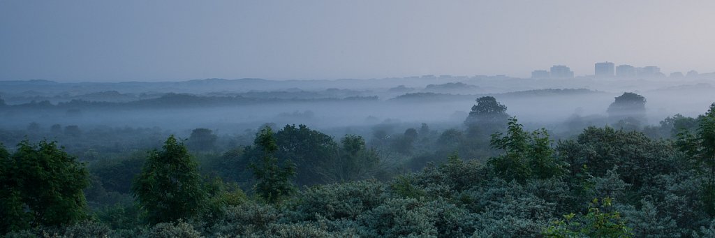 Beneveld westhoekreservaat.