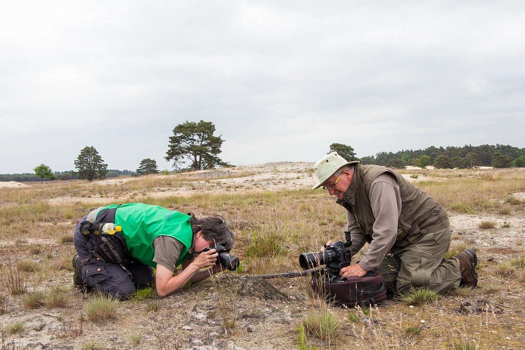 Met Jeannette Hoek op de Veluwe.