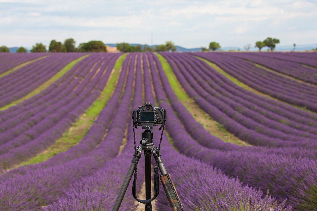 Provence 2014