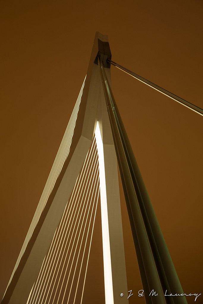 Top Erasmusbrug