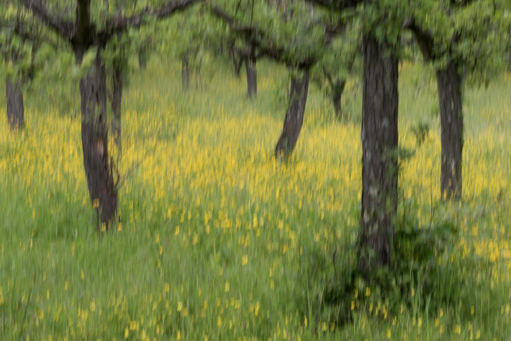 Flou artistique