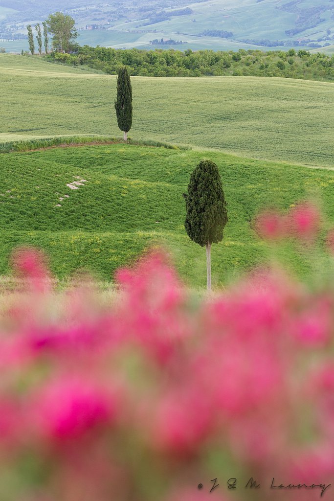 Fleurig landschap