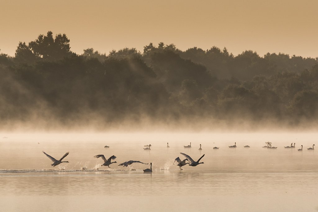 sfeervolle zonsopgang