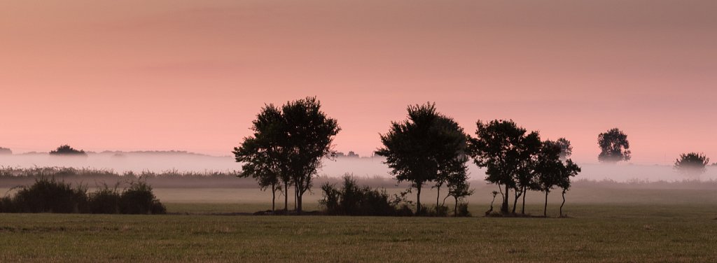 Rooskleurige morgengloed