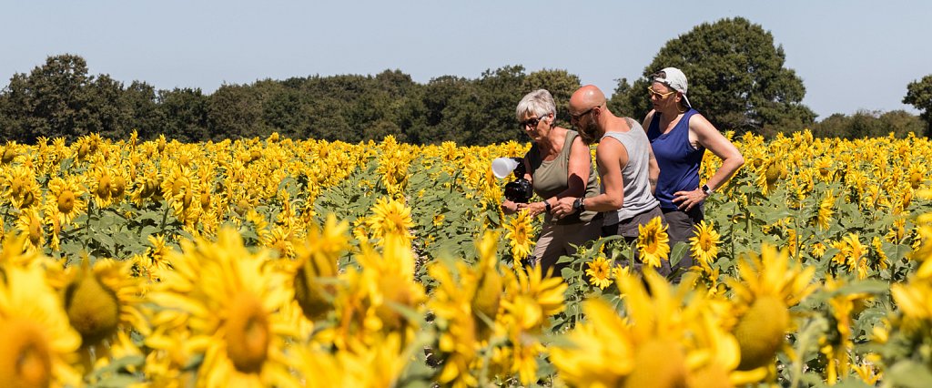 Nieuwe breedhoeklens